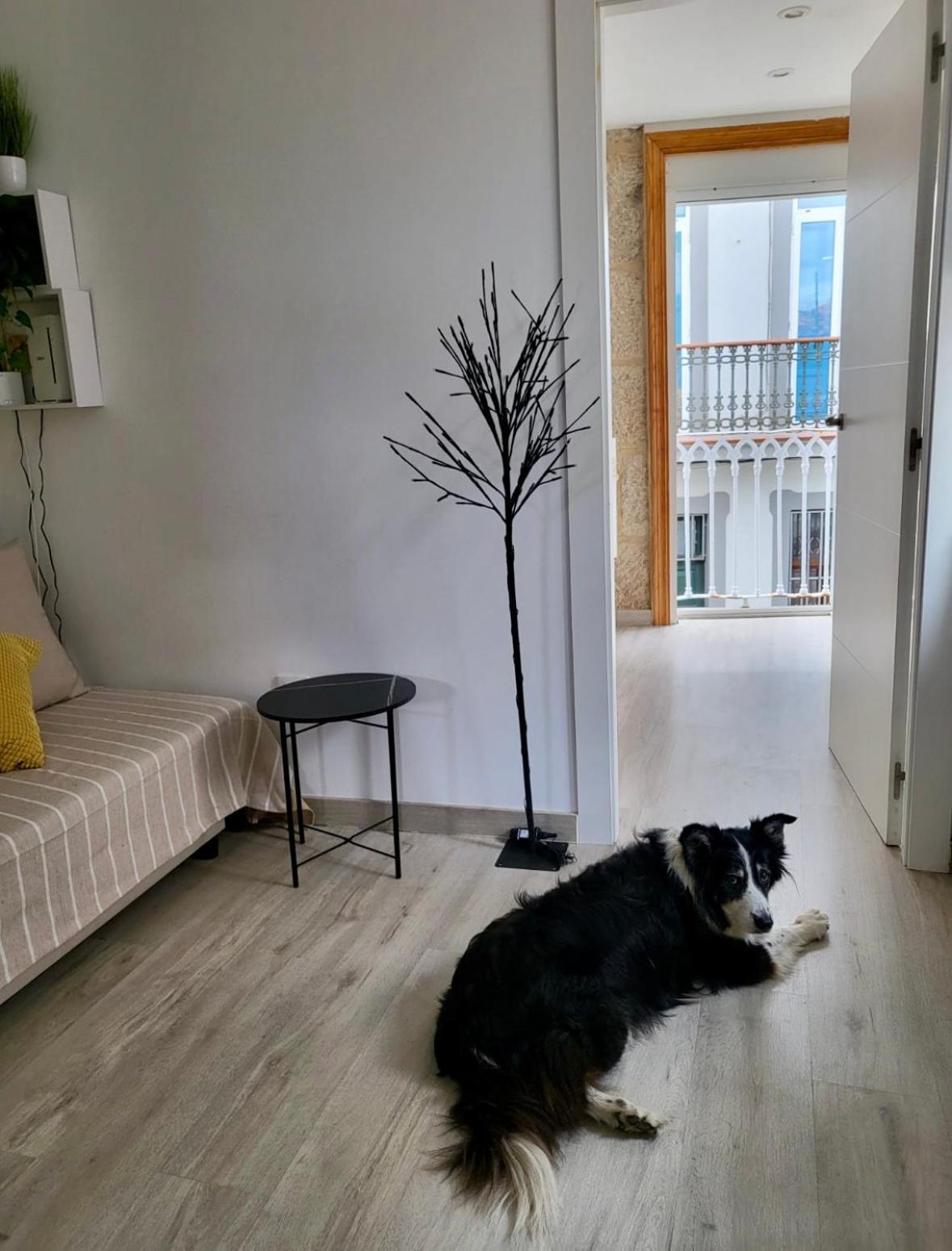 Apartamento Centrico Y Acogedor Βίγκο Εξωτερικό φωτογραφία